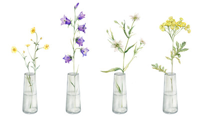 Watercolor botanical illustration on isolate white background. Clipart of meadow and forest flowers in a glass vase. Yellow field flowers - common tansy and buttercup. Bluebell and stellaria holostea