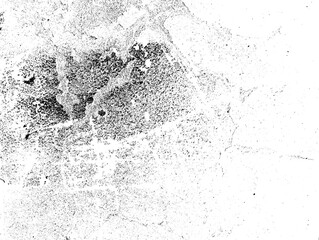 Abstract black grunge distressed background. Black color texture with copy space..
