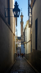 Fototapeta na wymiar Cordoba street scene