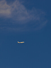 portrait format image of a commercial jet plane, illuminated by sunlight, flying under a blue sky with a veil of thin clouds.