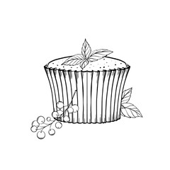 Classical cupcake without cream with currant and mint leaves. Vector illustration. Grapgic style. hand drawn in a simple minimalist style. 