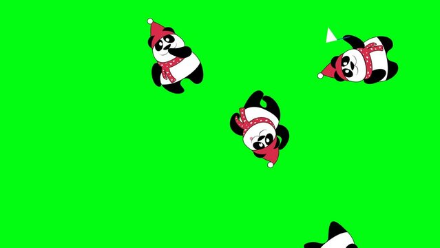 Green screen, Explosion of teddy panda bears green background. Stop motion Christmas panda bears.