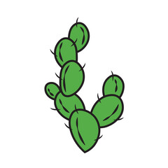 Isolated green cactus icon flat design Vector