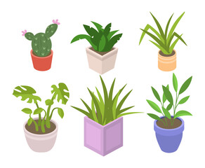 Set of Indoor flowers. Flowerpots with tropical and exotic plants and leaves. Cactus and bushes. Gardening, botany and horticulture. Cartoon flat vector collection isolated on white background