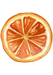 Dried orange slice. Watercolor illustration. Holiday decor for Christmas. Citrus dried vintage ornament for Christmas tree. Hand drawn.