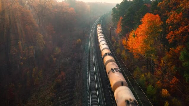 Aerial view of freight train in colorful forest in fog at sunrise in autumn. Top drone view of moving train with wagons in woods in fall. Industrial. Railroad, foggy trees with orange leaves. Railway