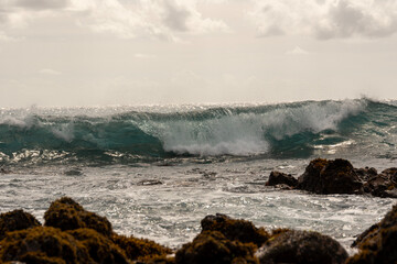 Hawaii waves