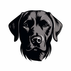 Labrador Retriever Head in cartoon, doodle style. Isolated 2d vector illustration in logo, icon style, Eps 10, black and white. AI Generative