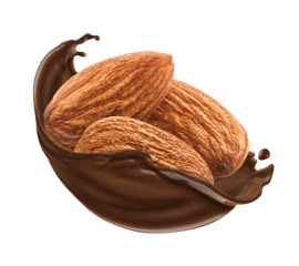 Almond in chocolate splash isolated