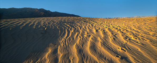 Mesquite Sand Dunes Death Valley