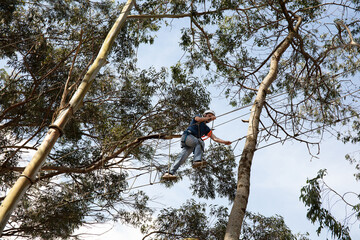 Fototapeta premium Person popping tree on ropes course