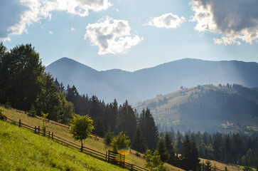 Green grassy slopes covered with forest with bright sunlight. High mountains in the background....