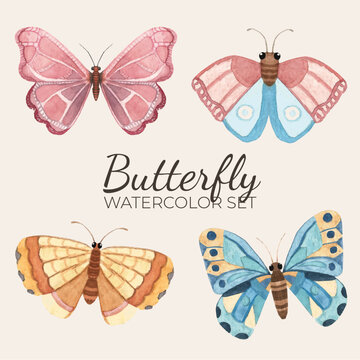 Cole&ccedil;&atilde;o de ilustra&ccedil;&otilde;es de borboletas coloridas em aquarela