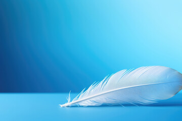 Softness abstract wing detail closeup background feather light plumage soft bird pattern fluffy white