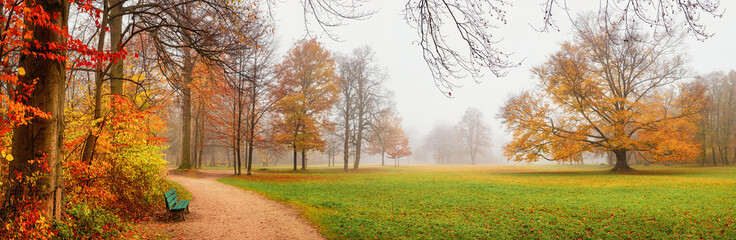 Autumn landscape, panorama, banner - view of a foggy autumn park with paths and fallen leaves in...