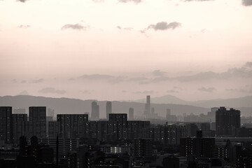 Fototapeta premium 夜明け前の都市。神戸の高台から神戸・大阪のビル群と大阪湾をのぞむ