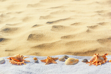 Fototapeta na wymiar View of a beach sand with towel and seashells under the hot summer sun, selective focus. Concept of sandy beach holiday, background with copy space for text