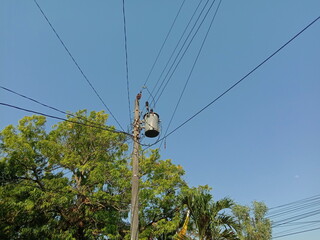 electricity poles and trees