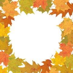 Autumn Leaves Circle Background