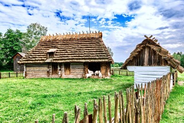 A fragment of a peasant house and white goats in the courtyard at the Museum of Folk Architecture...