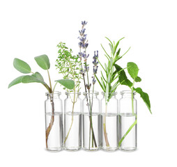 Fototapeta na wymiar Bottles with essential oils and plants isolated on white