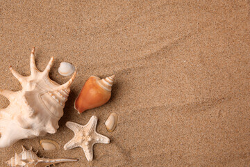 Fototapeta na wymiar Beautiful sea star and shells on sand, flat lay. Space for text