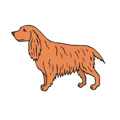 Vector hand drawn doodle sketch colored spaniel dog isolated on white background