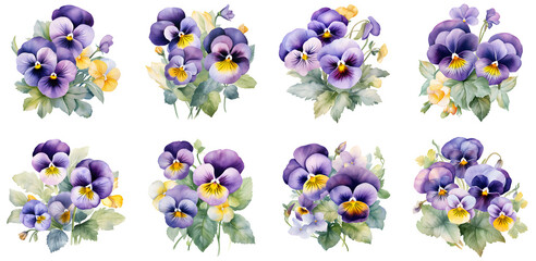Pansy flower watercolor illustration clipart. Generative AI
 - obrazy, fototapety, plakaty