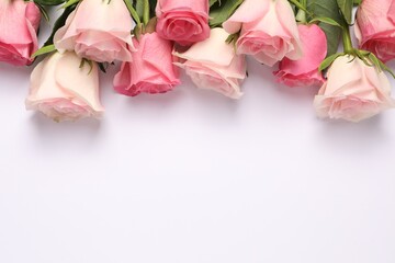 Beautiful roses on white background, above view. Space for text