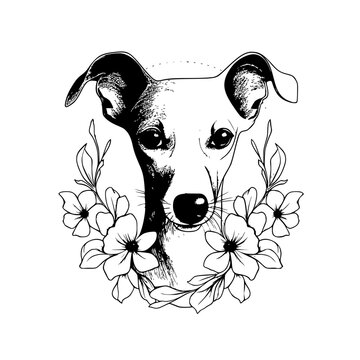 Italian Greyhound Svg