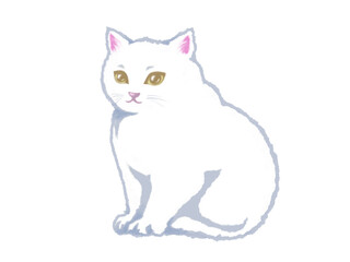 座る気品のある白猫のイラスト