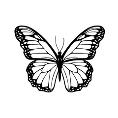 Butterfly SVG Monarch