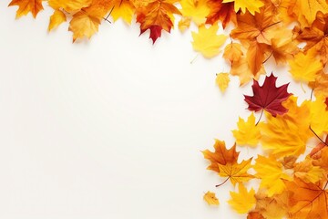 autumn background with leaves frame with solid white background. overlay texture with copy space