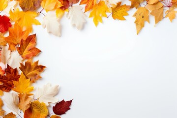 autumn leaves border frame with solid white background. overlay texture with copy space