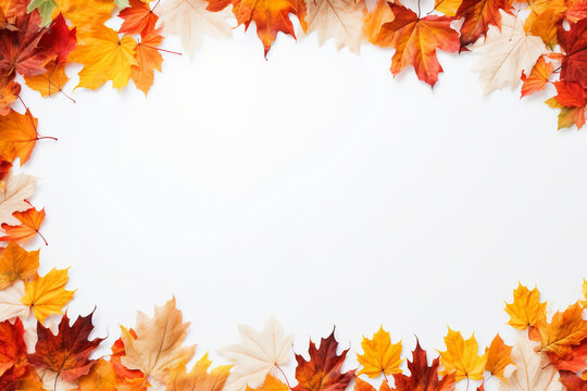 frame from autumn falling leaves with solid white background. overlay texture with copy space