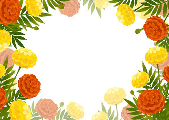Frame of colorful marigold flowers on white background 