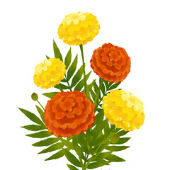 Illustration of colorful marigold flowers with leaves