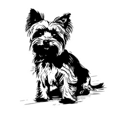 Yorkshire Terriers svg