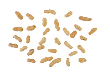 Peanuts Isolated Transparent