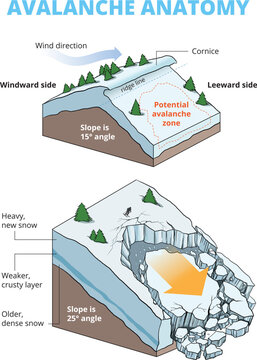 illustration of snow avalanche anatomy infographic