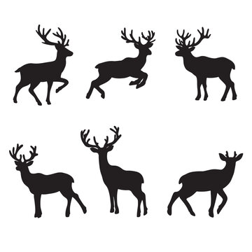 set of  deers on the white background. deer silhouettes. Vector EPS 10.