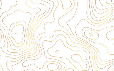 Topographic map lines, earth relief, contour background. Geographic grid, elevation map. Seamless golden pattern.