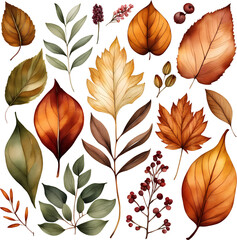 background with autumn leaves 