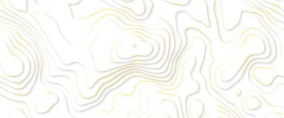 Golden stroke white papercut background. Modern concept. minimal poster. Networks, headlines, pages, covers, billboards, brochures