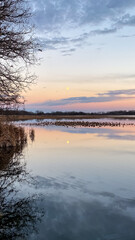 Blue Hour Pink Skies with Moon over Marsh and Conservatory Park with Lake Reflections