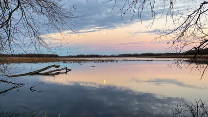 Blue Hour Pink Skies with Moon over Marsh and Conservatory Park with Lake Reflections