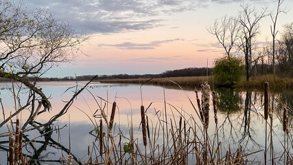 Blue Hour Pink Skies with Moon over Marsh and Conservatory Park with Lake Reflections