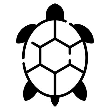 "Star Tortoise" Images – Browse 96 Stock Photos, Vectors, and Video