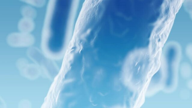 Enterobacteriaceae, gram-negative rod-shaped bacteria, part of intestinal microbiome and causative agents of different infections, 3D rendering. Escherichia coli, Klebsiella, Enterobacter and other