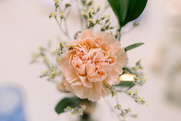 A cut pink peony flower close-up, wedding decorations